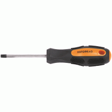 Screwdriver Torx® with a round rod